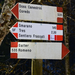 O535