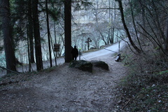 O537-ldp007-00-p04-161205-td