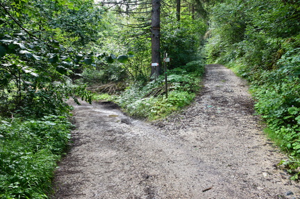 O537-ldp009-00-p02-160728-CE