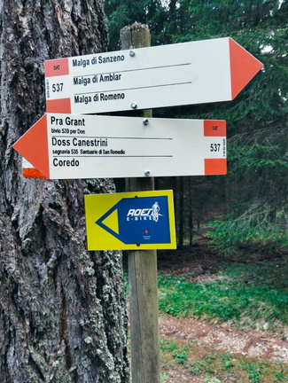 O537-ldp012-00-d01-250607-AM (12 visite) O537-ldp012-00-d01-250607-AM