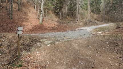 O539-ldp003-00-p1-170319