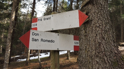 O539-ldp013-00-d01-170319