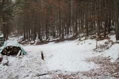 O5SF1-ldp553-00-td-17