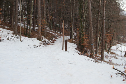 O5SF1-ldp556-00-td-39