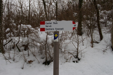 O5SF1-ldp559-00-td-84