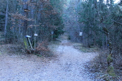 SF6V-005-00-p1-161205-td