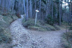 SF6V-005-01-p1-161205-td