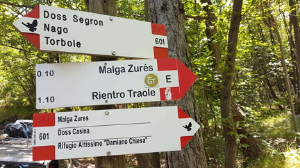 O601-ldp005-03-d01-190627-GP