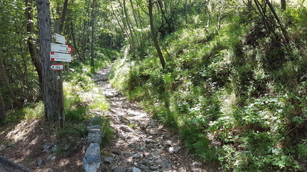 O601-ldp005-03-p01-190627-GP