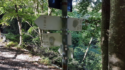 O601-ldp008-00-d02-180927-GP