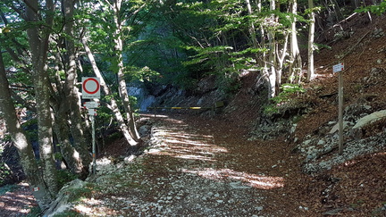 O601-ldp008-00-p01-180927-GP