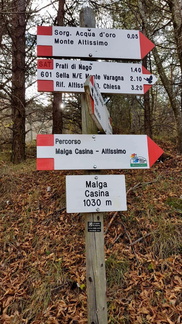 O601-ldp010-00-d01-181127-GP