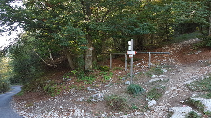 O601-ldp011-00-p01-180927-GP