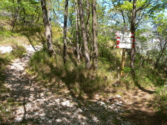 O601A-ldp001-00-p1-GCP-160419-4524