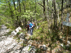 O601A-ldp002-00-p1-GCP-160419-4516