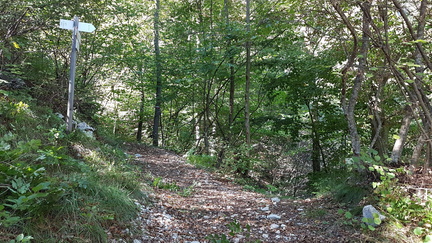 O601C-ldp001-00-p01-180927-GP