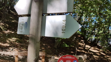 O601C-ldp002-00-d02-180927-GP