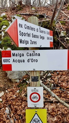 O601C-ldp003-00-d01-181127-GP