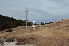 O602-ldp015-00-p2-151208-td-2396