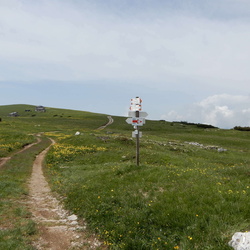 016-00
