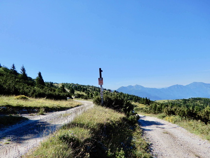 O602-ldp018-00-p01-180704-GT