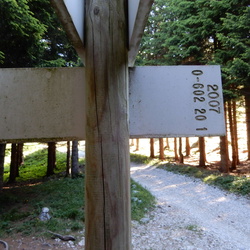 020-00
