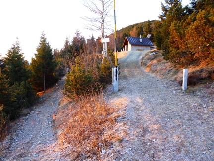 O602-161217-IC-Gazza-Baite-02