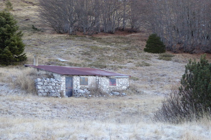 O602-161217-IC-Gazza-Baite-06