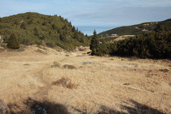 O602-Canfedin-151208-td-2404