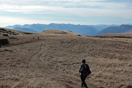 O602-Canfedin-151208-td-2440