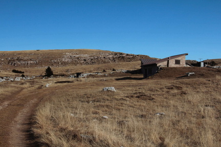 O602-Canfedin-151208-td-2452