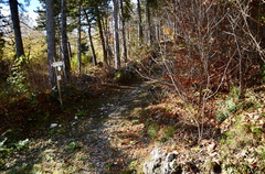 O602B-ldp005-00-p02-181112-ED