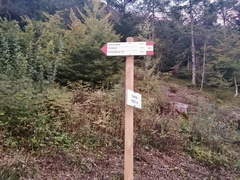 O603-ldp001-00-d02-211003-LP