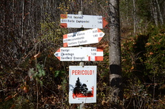 O603-ldp014-00-d01-181112-ED