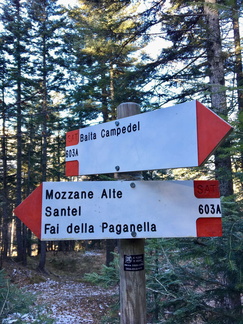 O603A-ldp002-00-d01-181203-ED