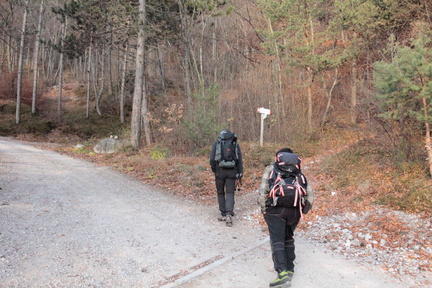 O606-ldp002-00-p1-151208-td-2347