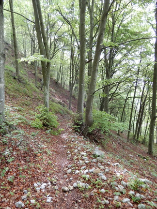 O606-02-170520-GT-0364 (102 visite) O606-02-170520-GT-0364