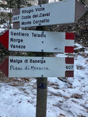 O607-ldp006-00-d01-190102-MA