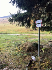 O607-ldp016-00-p02-181102-ED