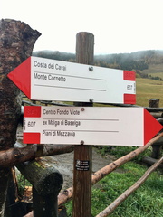 O607-ldp016-01-d01-181102-ED