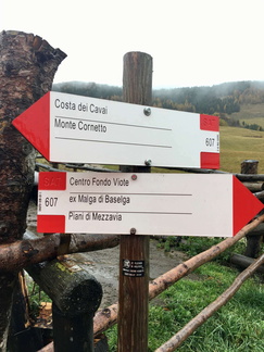 O607-ldp016-01-d01-181102-ED