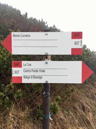 O607-ldp017-01-d01-181110-ED (13 visite) O607-ldp017-01-d01-181110-ED