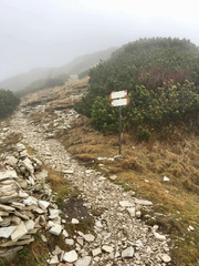 O607-ldp017-01-p01-181110-ED