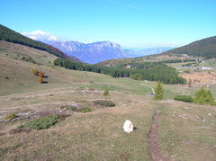 O607-04-1-101011-LB-210