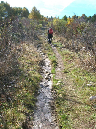 O607-04-101011-LB-056 (51 visite) O607-04-101011-LB-056