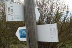 O608B-ldp004-00-d03-160506-IC