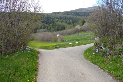 O608B-ldp004-00-p01-160506-IC