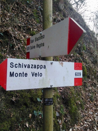 O609-ldp001-01-d01-190303-MA (6 visite) O609-ldp001-01-d01-190303-MA