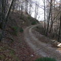 O60929 (16 visite) O60929