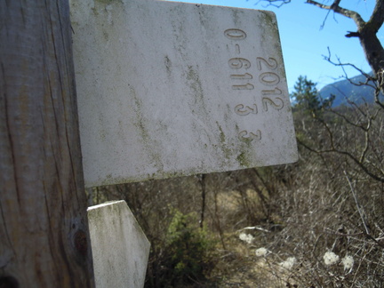 O611-ldp003-00-d3-170307-SdC